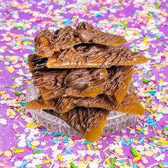 Chocolate Covered Peanut Brittle